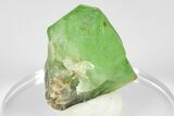 Green Olivine Peridot Crystal Cluster - Pakistan #183965-4